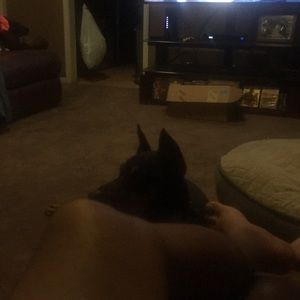 Meet your Posher, Larry